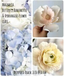 Magnolia, butterfly ranuncula, hydrangeas Class
