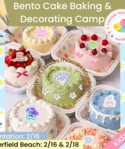 Bento Cake Day Camp