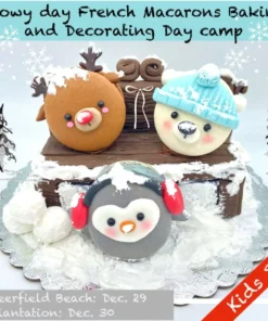 Snowy Day French Macarons Day Camp - Deerfield
