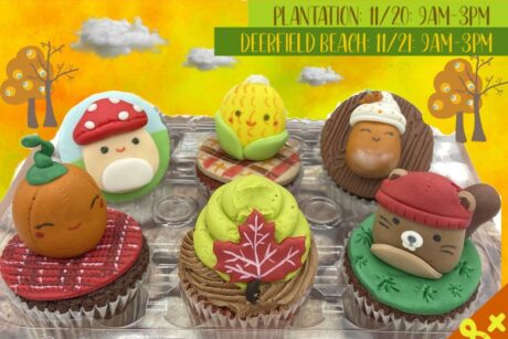 https://classes.miacakehouse.com/wp-content/images/squishmellow-fall-cupcakes-460x307.jpeg