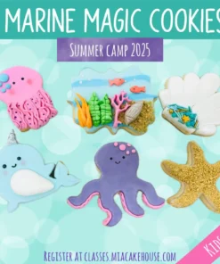 Under the Sea Cookies Day Camp - Deerfield