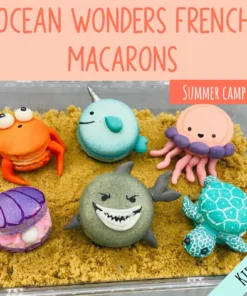 Under the Sea French Macarons Day Camp - Deerfield