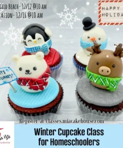 Winter Homeschool set